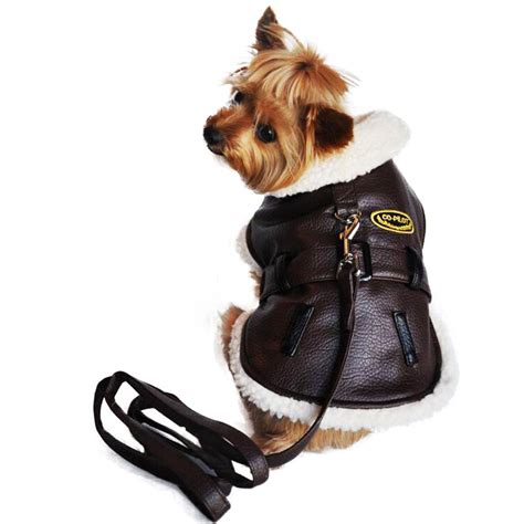 luxury dog jackets.